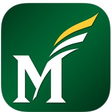 Mason App Icon