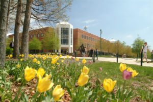view of the Johnson Center through the tulips