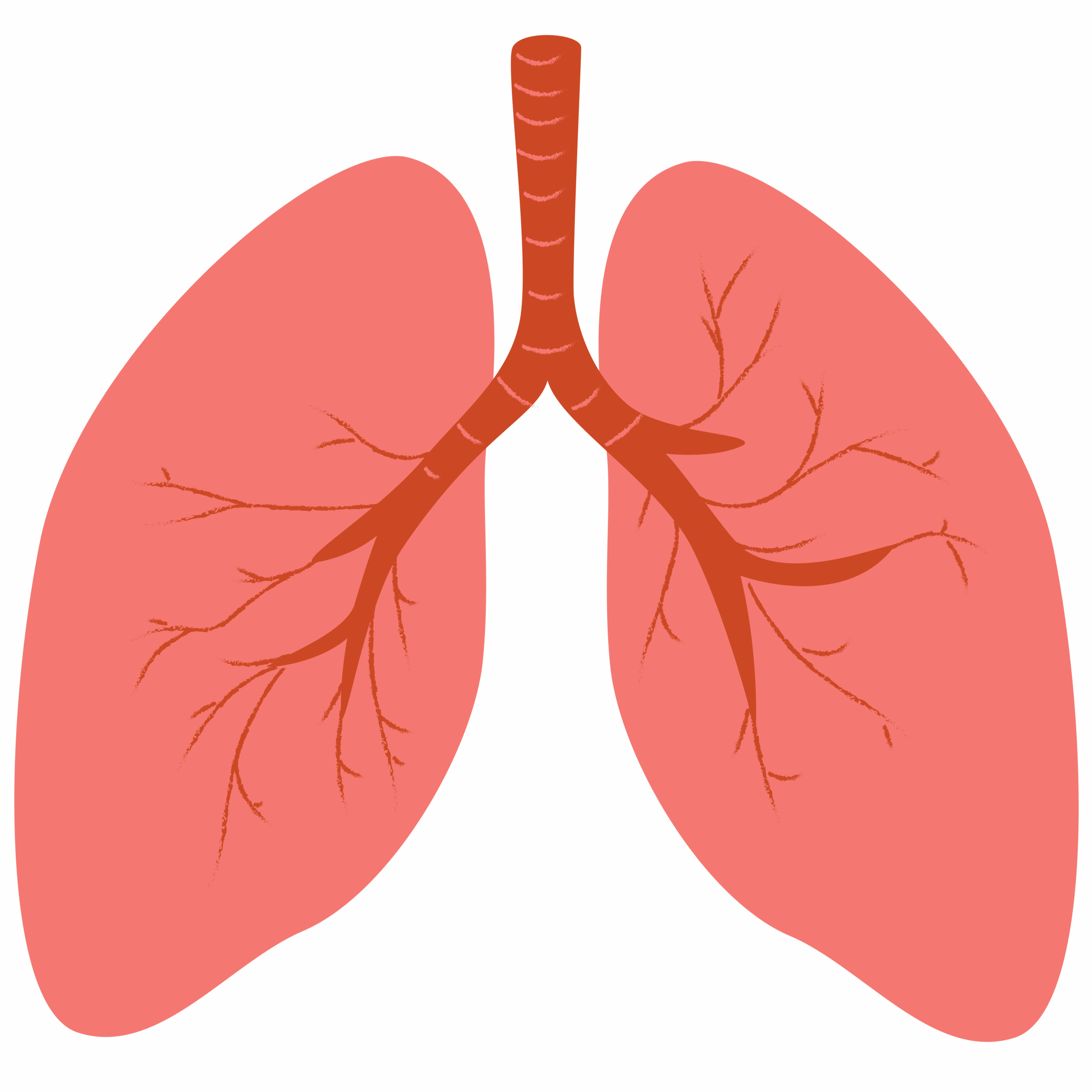 Icon of human lungs